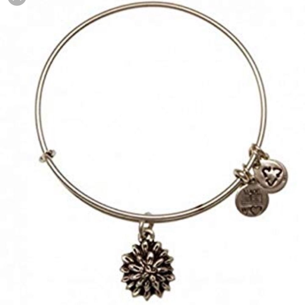 Alex and Ani Charm Bracelet